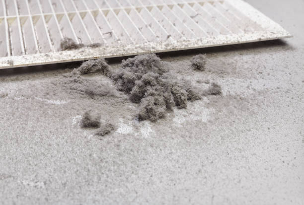Affordable HVAC Duct Cleaning in Mckinleyville, CA